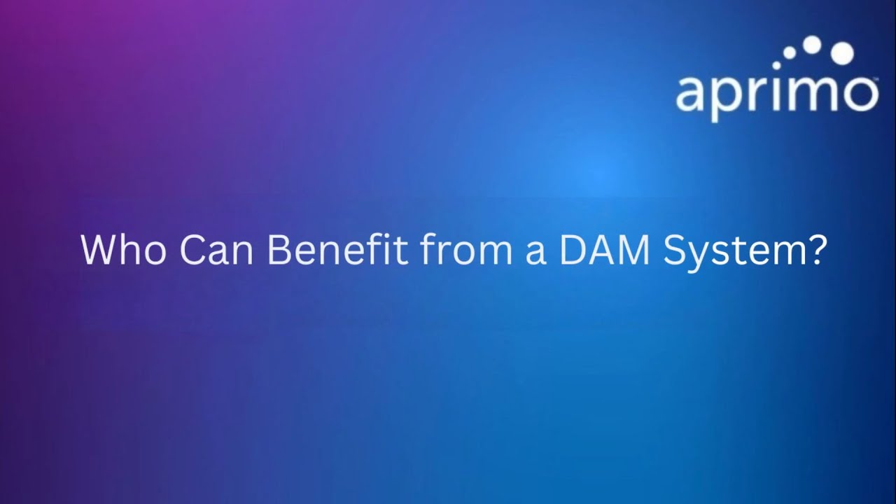 Who Can Benefit from a DAM System?