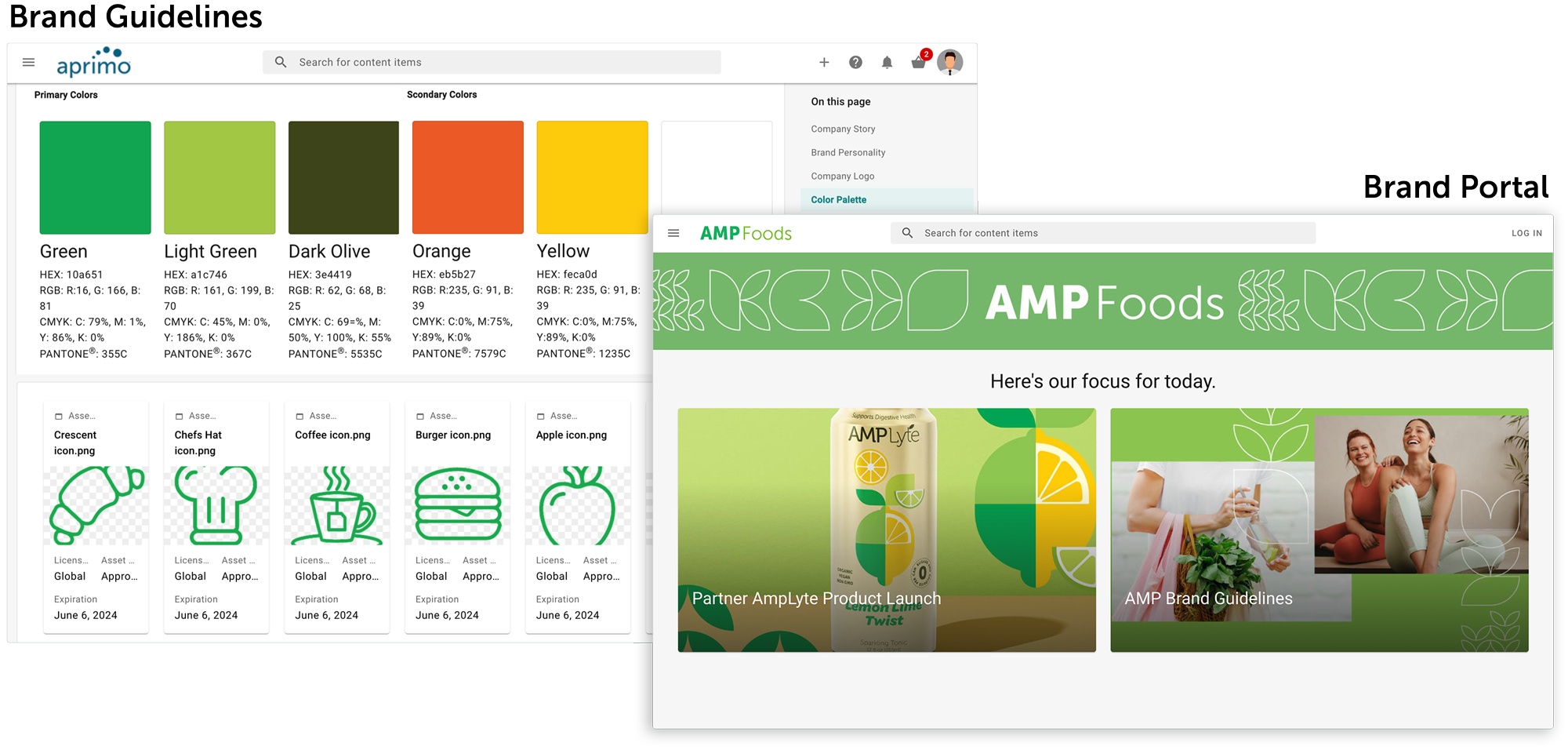 Aprimo Brand Guidelines and Portal CPG