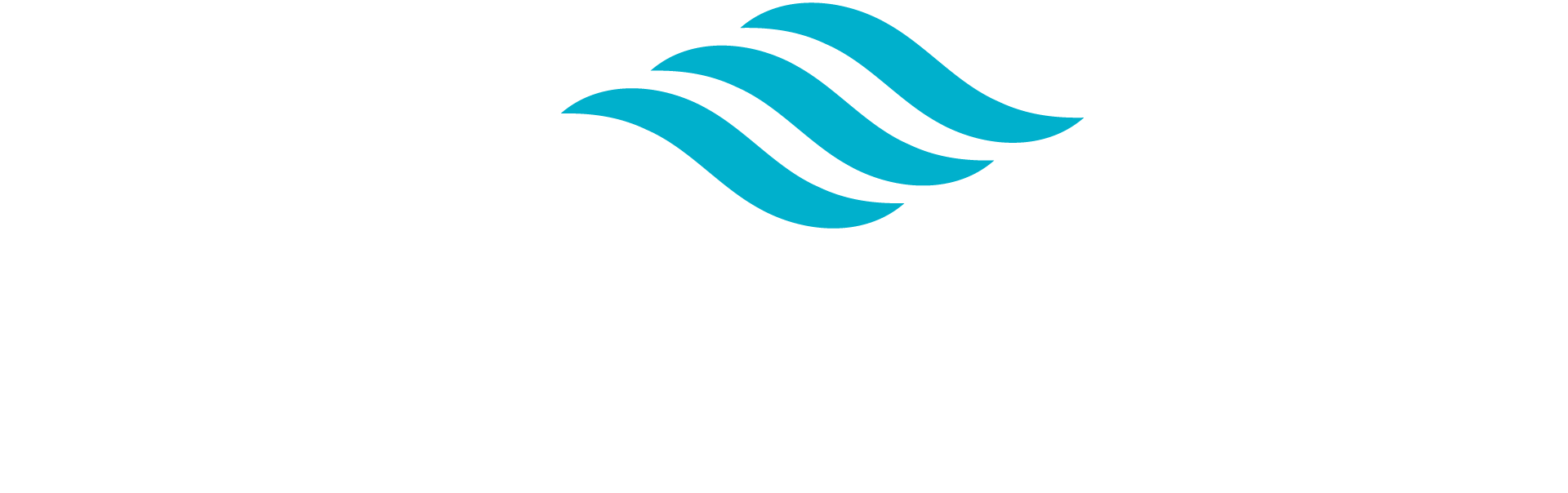 Partner Image