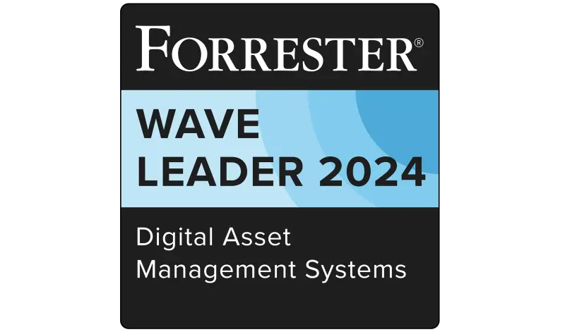 Forrester DAM Wave Badge 2024