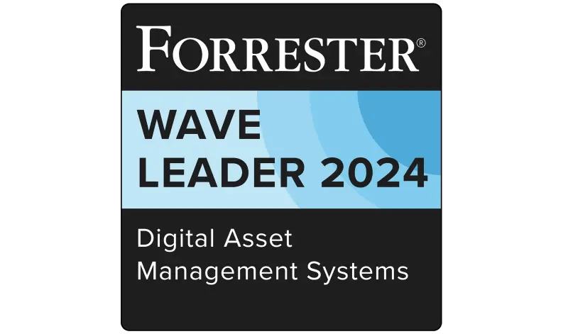 Forrester DAM Wave Badge 2024