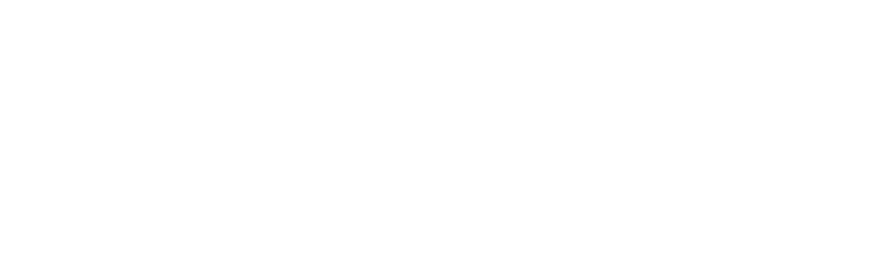 Partner Image