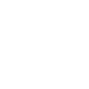 DAM Product Icon