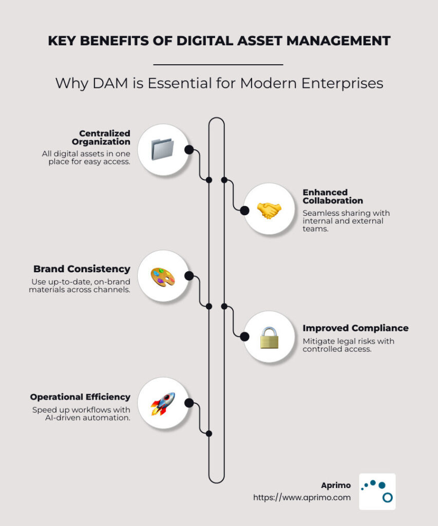 Key Benefits of Digital Asset Management Infographic
