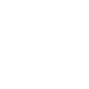 Global Team Icon