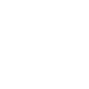 Plan Icon