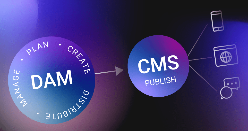 DAM vs CMS