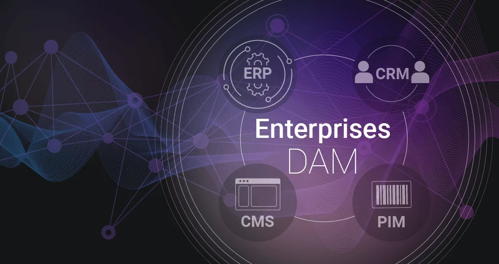 Enterprise Digital Asset Management (DAM) system connecting ERP, CRM, CMS, and PIM platforms.