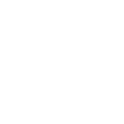 Solution Partner Icon
