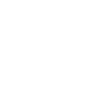 Technology Partners