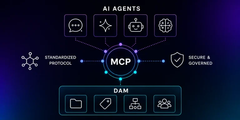 Model Context Protocol and DAM
