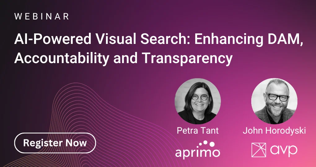 Webinar - AI-Powered Visual Search: Enhancing DAM, Accountability and Transparency