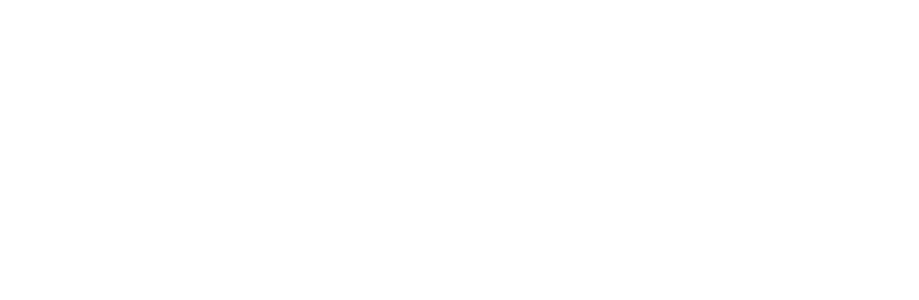 Partner Image