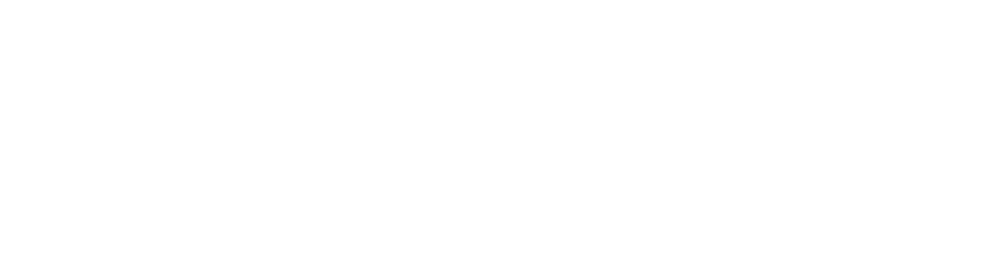 Partner Image