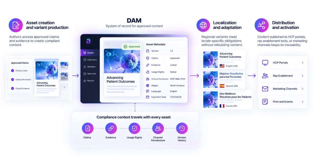 How Digital Asset Management Support Regulated Content Operations