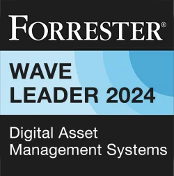DAM-Forrester-Wave-Badges-2024-SQ
