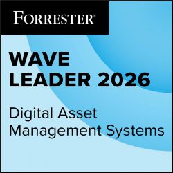 Forrester DAM Badge